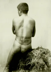 View of a Samoan Pea tattoo, 19th Century